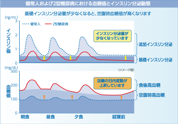 江東区で糖尿病のインスリン注射治療なら菊川内科皮膚科クリニック